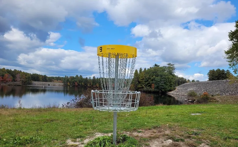 A metal disc golf basket on a grassy lakeshore, with autumn trees across the water