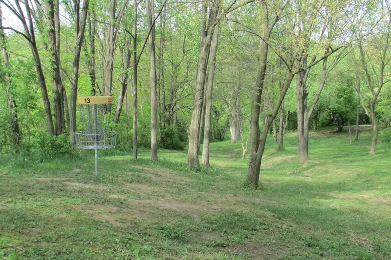 A narrow wooded fairway leading to a disc golf basket among spring trees
