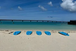 White-sand beach with blue paddleboards on the shore under a blue summer sky