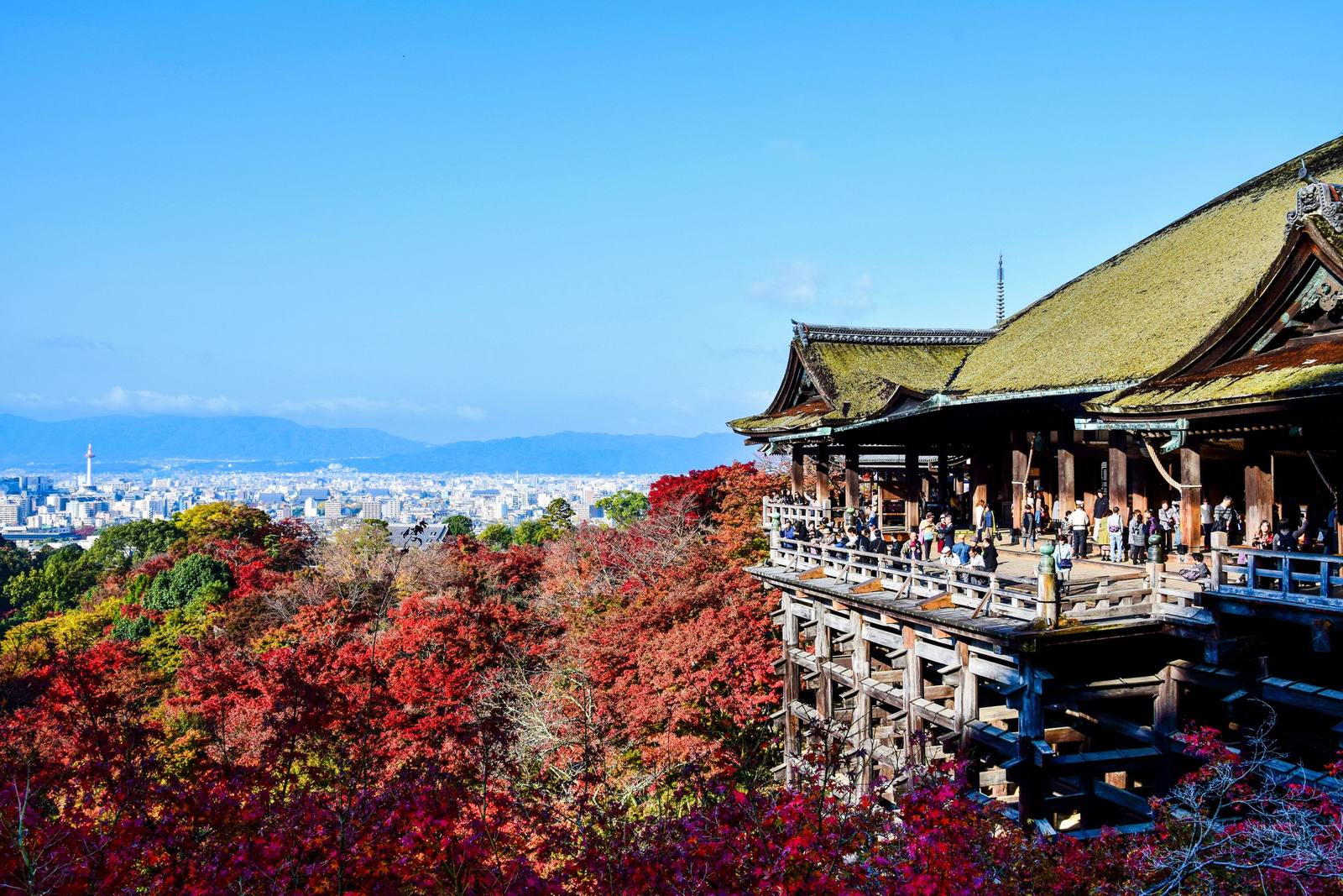 Kiyomizu-dera temple above red autumn maples, with Kyoto city in the distance